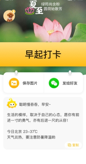 小来早晚安最新版