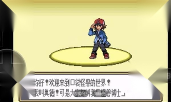 口袋妖怪黑白
