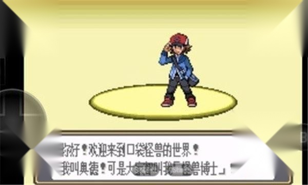 口袋妖怪黑白