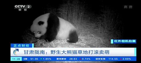 小小tv电视直播截图1