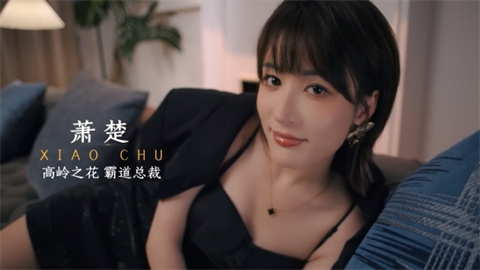 开局五个亿
