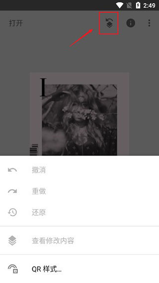 绿叶修图软件