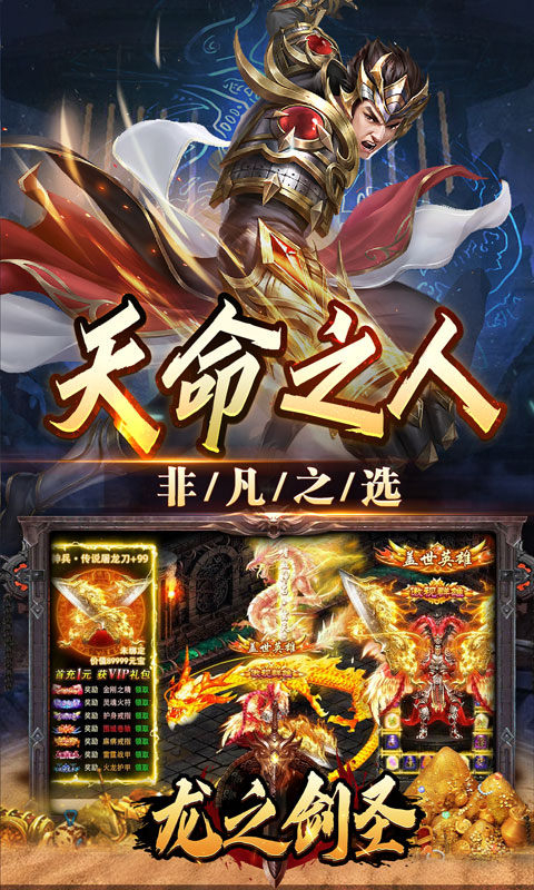 龙之剑圣截图1