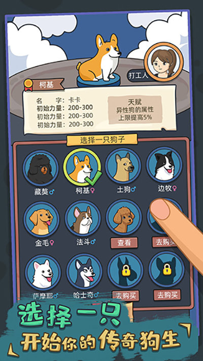 狗生模拟器中文版截图0