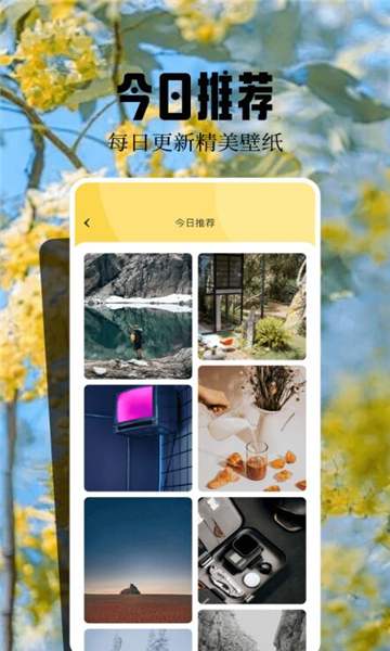 魔秀主题截图3