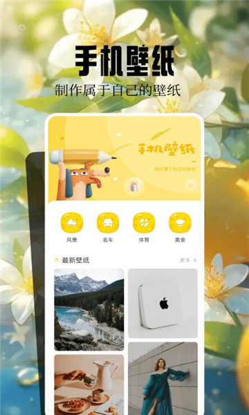 魔秀主题截图0