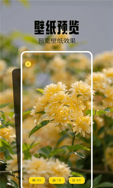 魔秀主题截图1