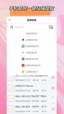 音频格式大师截图0