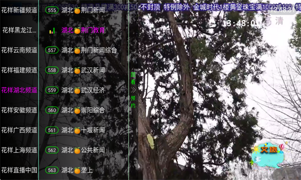 花样TV盒子截图3