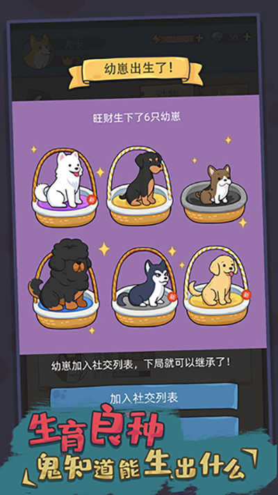 狗生模拟器中文版截图2
