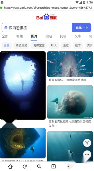 金桔社交浏览器
