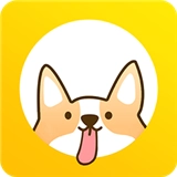 每日计划