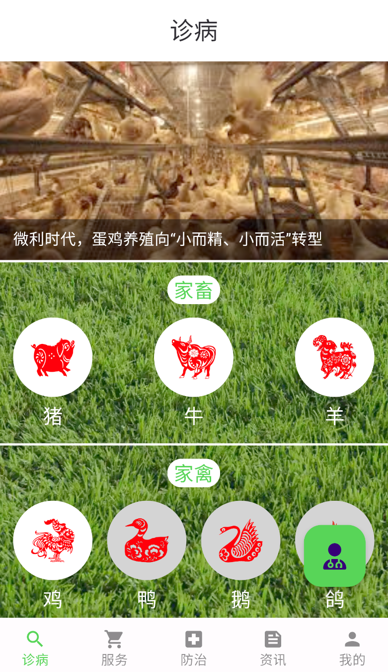 百畜兴旺