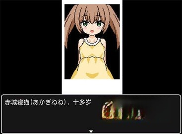 睡着的小猫咪