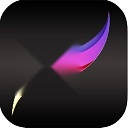 Procreate Pocket