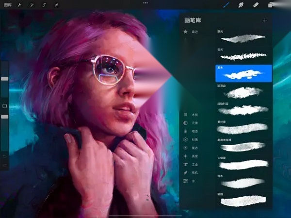 Procreate Pocket