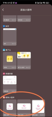 鲸鱼小组件安卓版