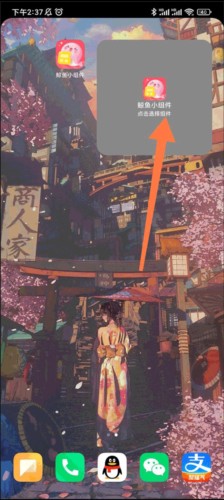 鲸鱼小组件安卓版