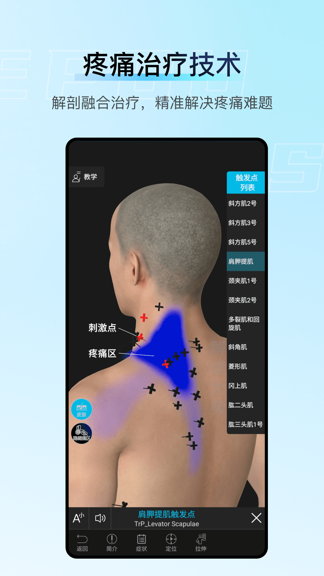 解剖大师