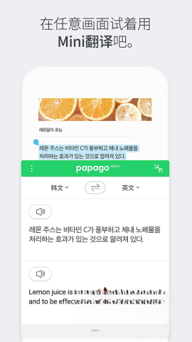 Papago截图4
