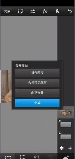 pscc手机版