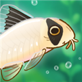 池趣游戏 Pondlife