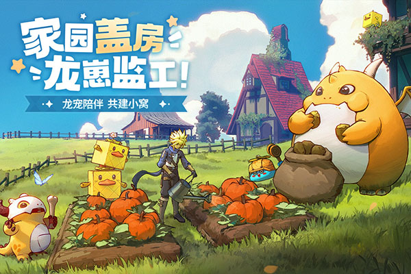 龙骑士学园截图2