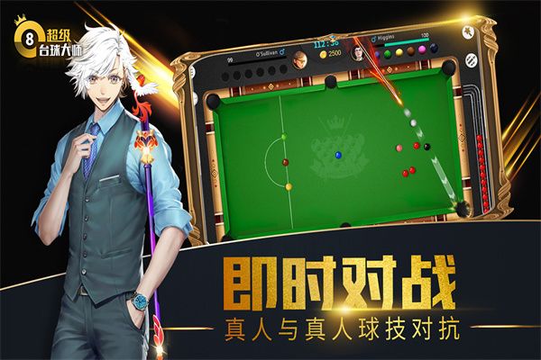 超级台球大师汉化版截图2