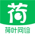 荷叶问诊免费版
