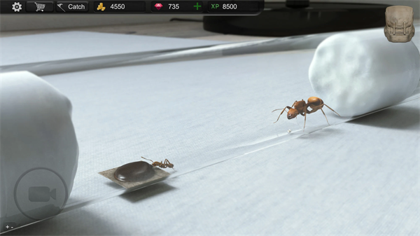 蚂蚁模拟大亨免费安装(Ant Sim Tycoon)  安卓版截图0