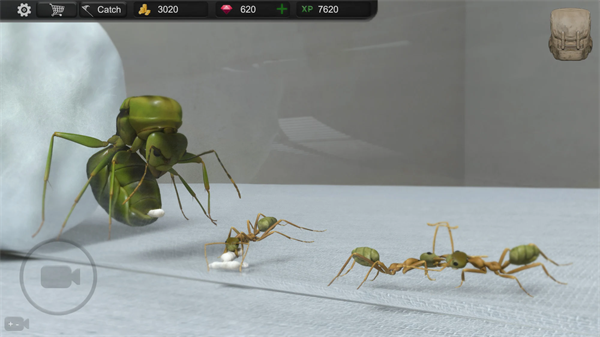蚂蚁模拟大亨免费安装(Ant Sim Tycoon)  安卓版截图2