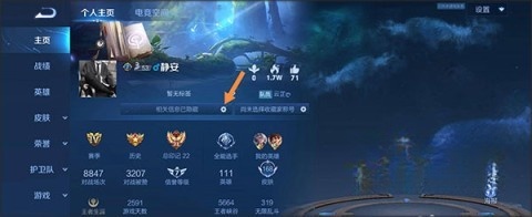 王者荣耀前瞻版
