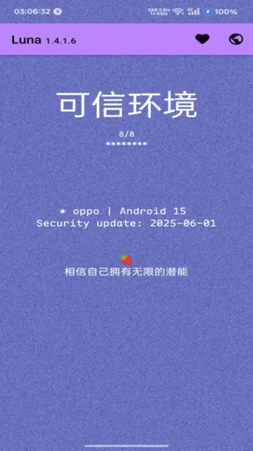 luna环境检测工具截图2
