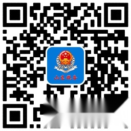 山东税务手机版