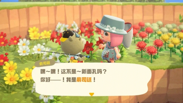 动物森友会中文版