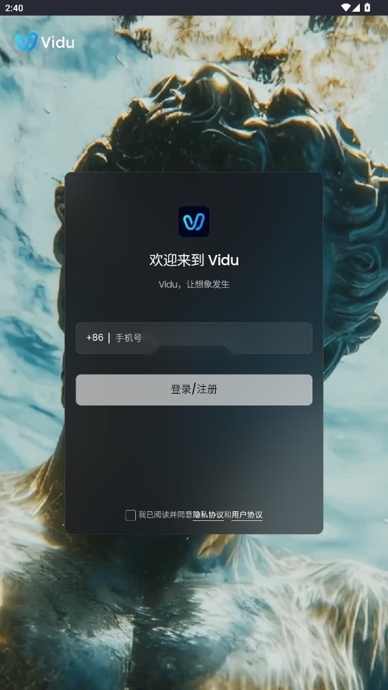 vidu手机版截图3