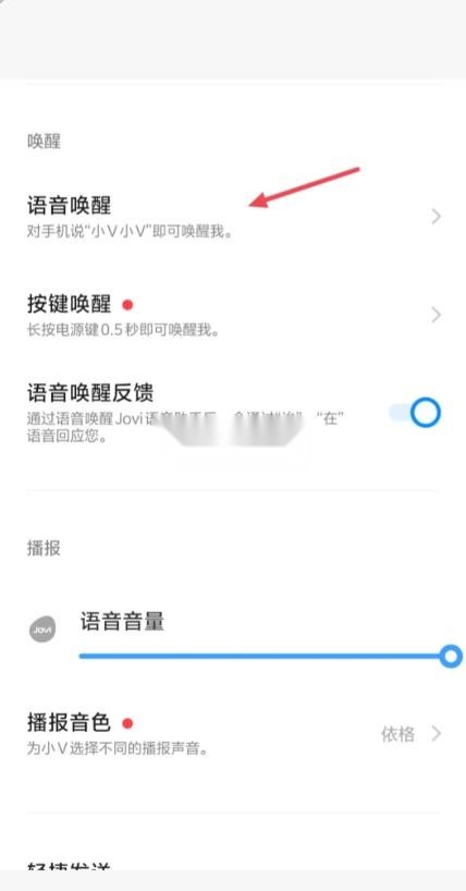 蓝心小v v5.2.5.0 