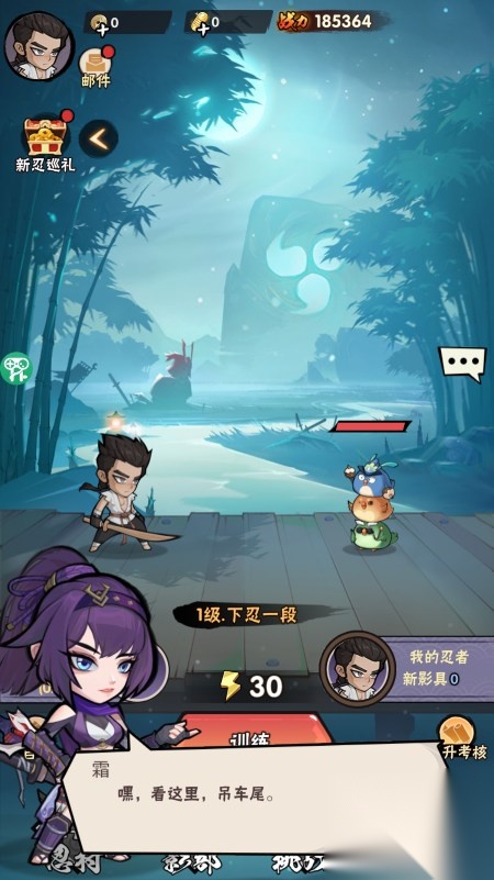 幻像忍者截图1