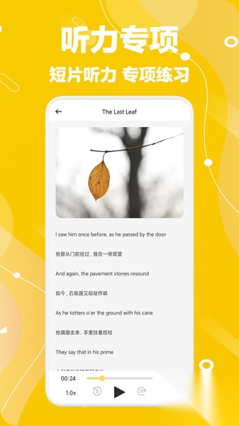 奥拉丁单词本截图3