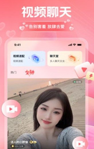 淘爱交友