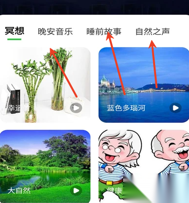 树懒睡眠