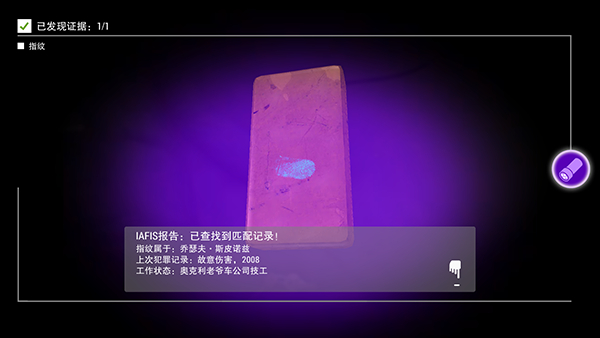 踪迹谋杀之谜