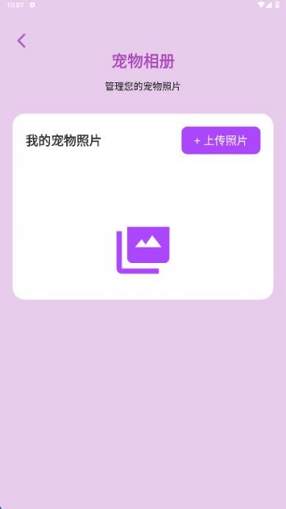 猫狗翻译官