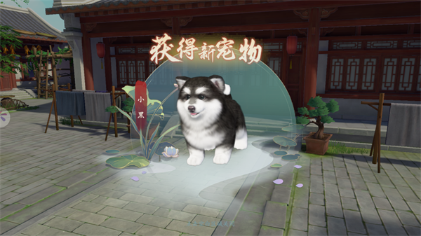 浮生忆玲珑免费