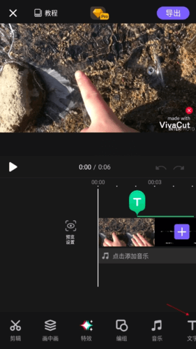 vivacut国际版