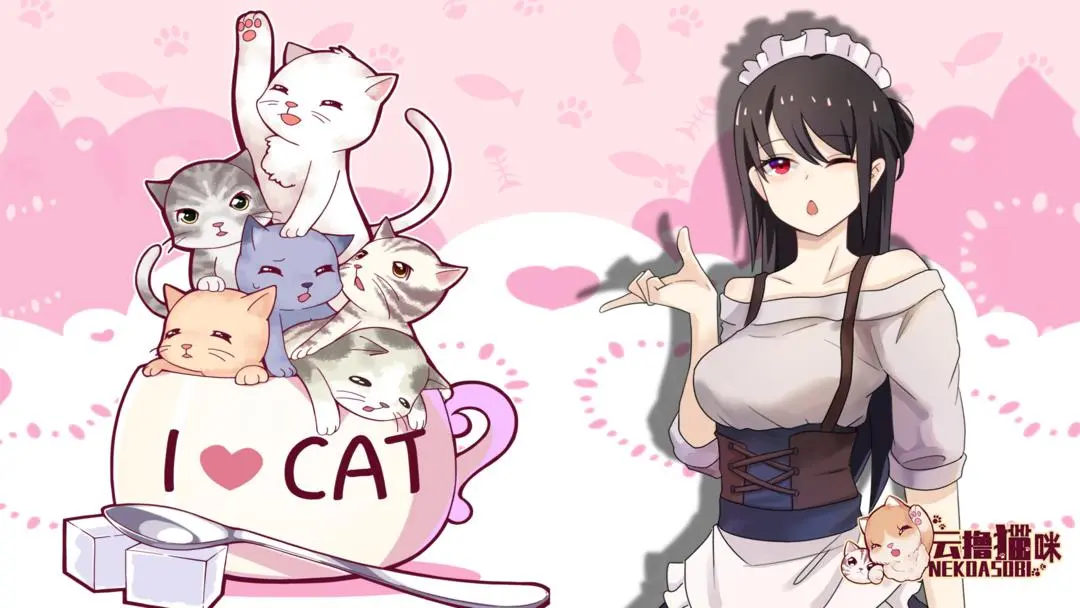 云撸猫咪