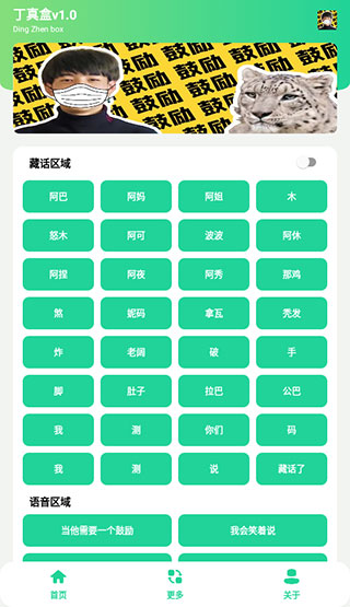 丁真盒截图3