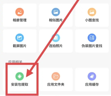 雪豹速清大师