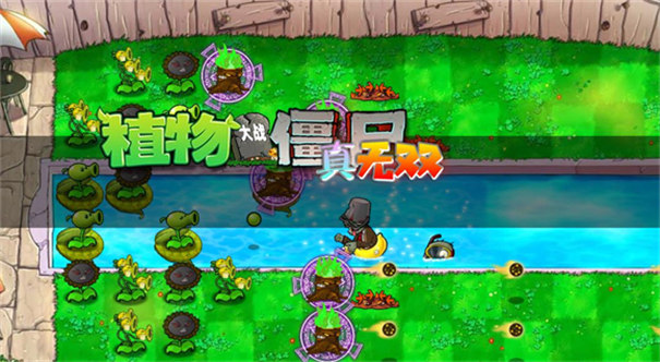 植物大战僵尸真无双版截图3