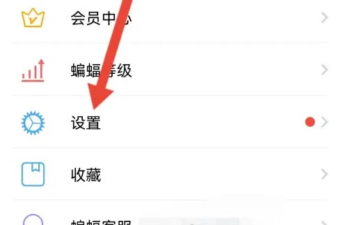 蝙蝠加密聊天国际版